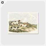 1-41_Sporting-Sketches_postcard