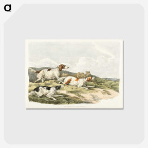 1-41_Sporting-Sketches_postcard