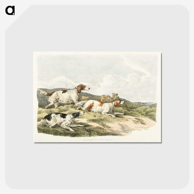 1-41_Sporting-Sketches_postcard
