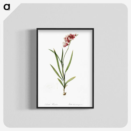 1-41_The-Lilies_blk-crop
