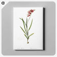 1-41_The-Lilies_canvas