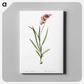 1-41_The-Lilies_canvas