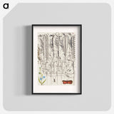 アートポスター-Creeping Forget Me Not, Insect, and Planthopper
 - 書道のお手本 Poster.
