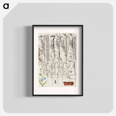 アートポスター-Creeping Forget Me Not, Insect, and Planthopper
 - 書道のお手本 Poster.