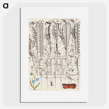 アートポスター-Creeping Forget Me Not, Insect, and Planthopper
 - 書道のお手本 Poster.