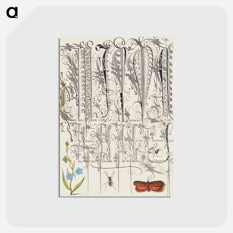 アートポストカード-Creeping Forget Me Not, Insect, and Planthopper
 - 書道のお手本 Postcard.
