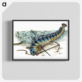 1-41_The-Natural-History-of-British-Fishes_blk-crop