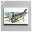 1-41_The-Natural-History-of-British-Fishes_canvas