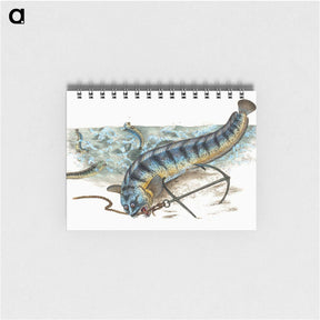 1-41_The-Natural-History-of-British-Fishes_memo