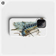 1-41_The-Natural-History-of-British-Fishes_phone