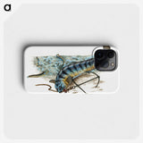 1-41_The-Natural-History-of-British-Fishes_phone