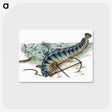 1-41_The-Natural-History-of-British-Fishes_postcard