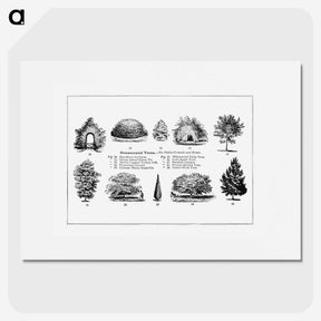 1-41_The-Open-Door-to-Independence_picture