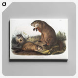 1-41_The-Viviparous-Quadrupeds_canvas