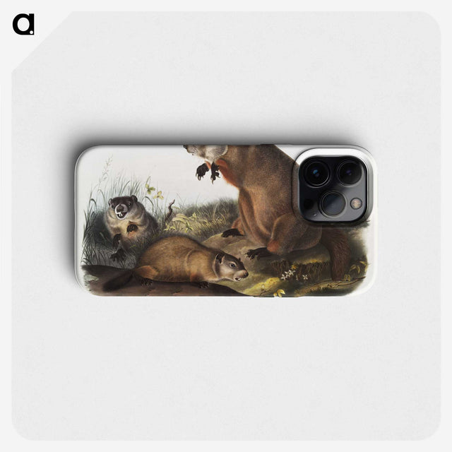1-41_The-Viviparous-Quadrupeds_phone