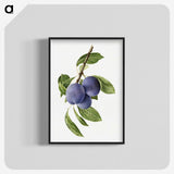 1-41_USDA-Watercolor-Fruit-Painting-Collection_blk-crop