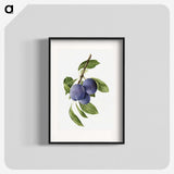 1-41_USDA-Watercolor-Fruit-Painting-Collection_blk