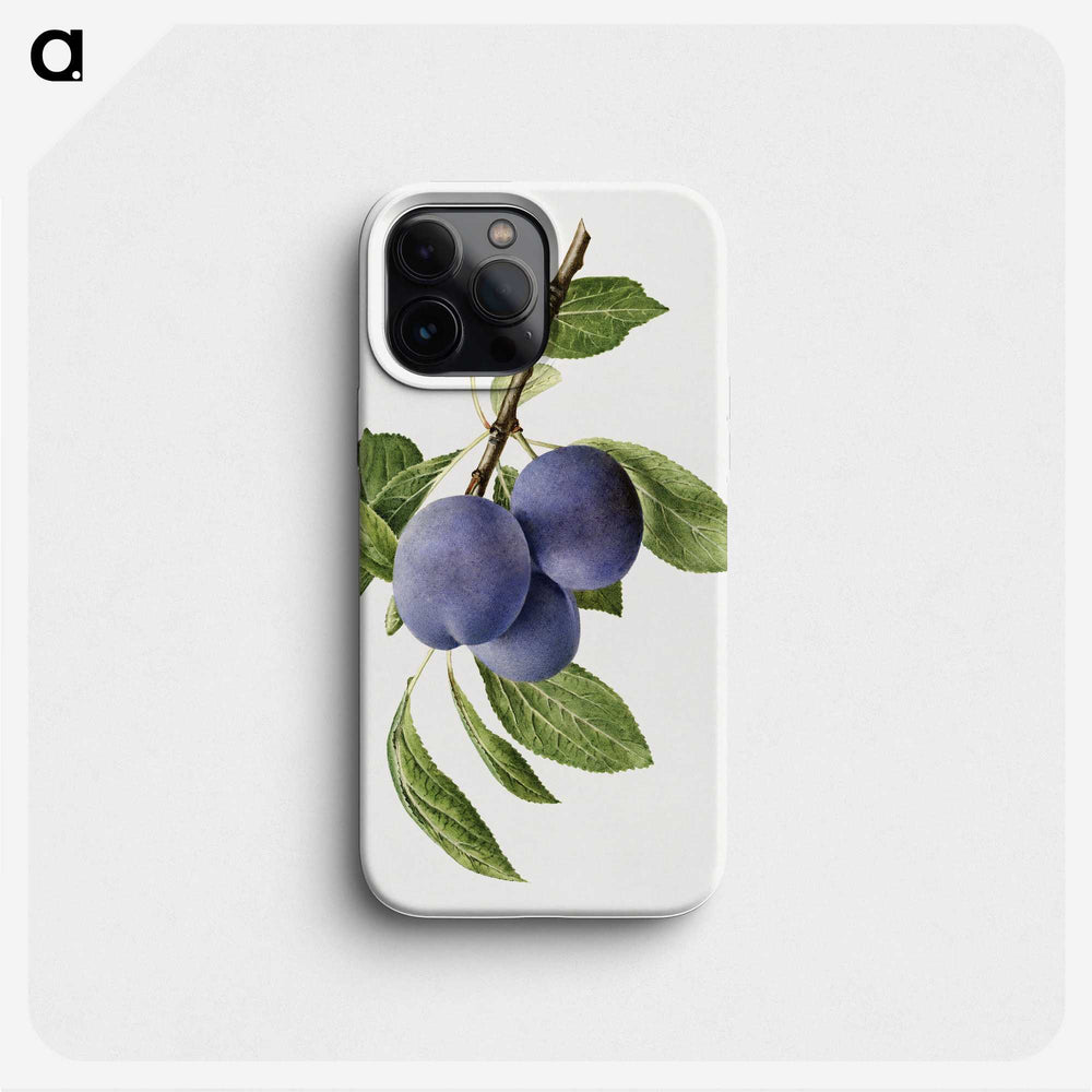 1-41_USDA-Watercolor-Fruit-Painting-Collection_phone