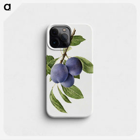1-41_USDA-Watercolor-Fruit-Painting-Collection_phone