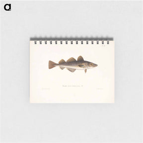 アートメモ帳-Cod - ヴィルヘルム フォン ライト Memo.