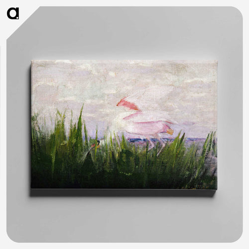 Roseate Spoonbill - アボット ハンダーソン セイヤー Canvas.