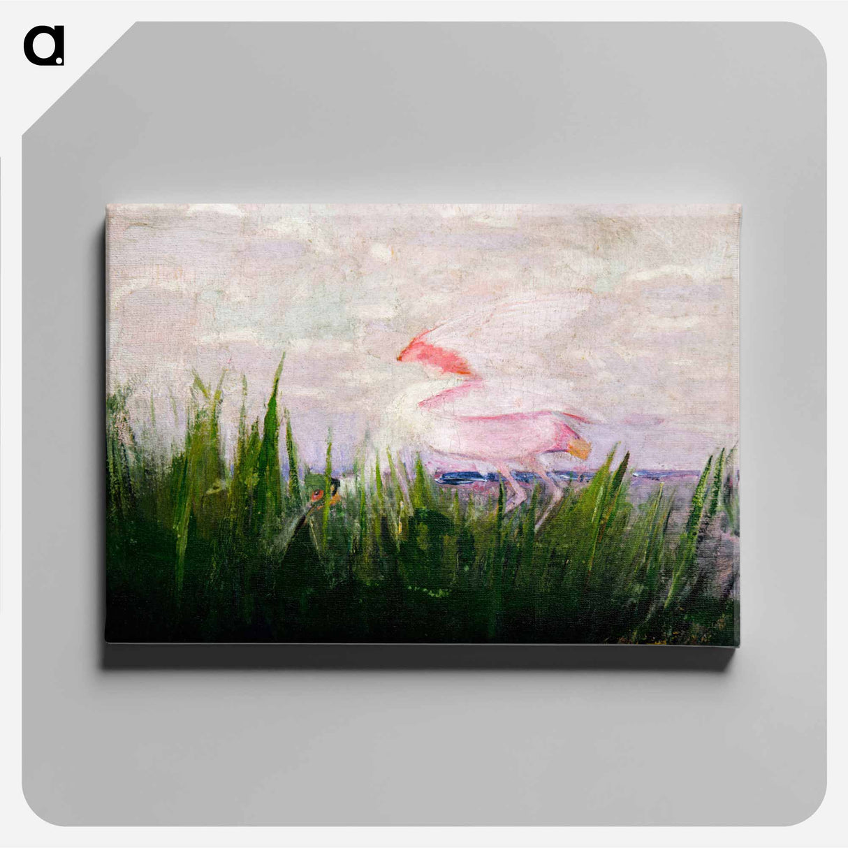 Roseate Spoonbill - アボット ハンダーソン セイヤー Canvas.
