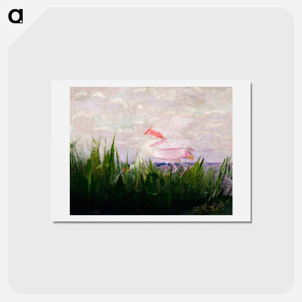 アートポストカード-Roseate Spoonbill - アボット ハンダーソン セイヤー Postcard.