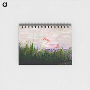 アートメモ帳-Roseate Spoonbill - アボット ハンダーソン セイヤー Memo.