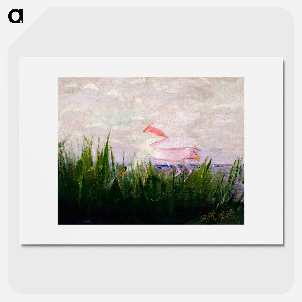 Roseate Spoonbill - アボット ハンダーソン セイヤー Poster.