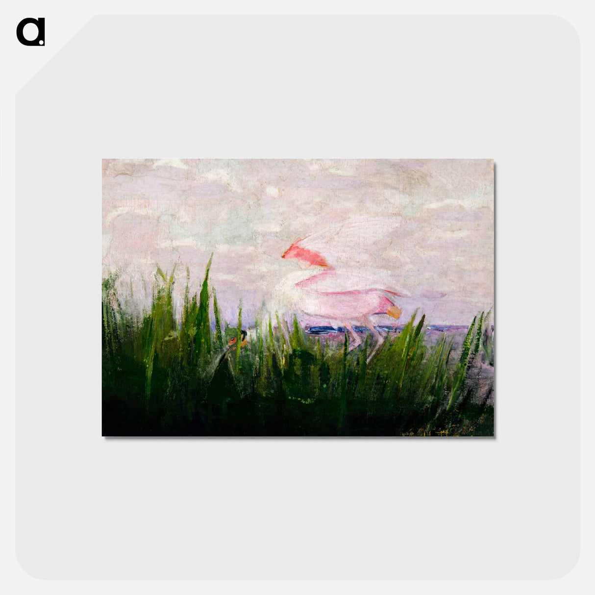 アートポストカード-Roseate Spoonbill - アボット ハンダーソン セイヤー Postcard.