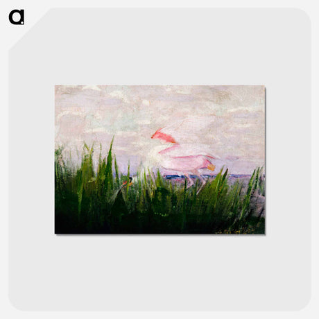 アートポストカード-Roseate Spoonbill - アボット ハンダーソン セイヤー Postcard.