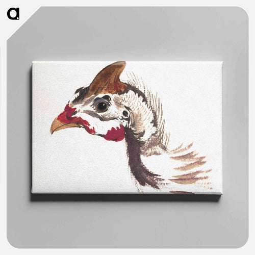 Head of a Helmeted Guineafowl - アールト シューマン Canvas.