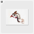 アートポストカード-Head of a Helmeted Guineafowl - アールト シューマン Postcard.