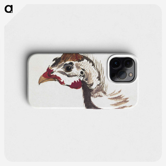 1-42_Aert-Schouman_phone