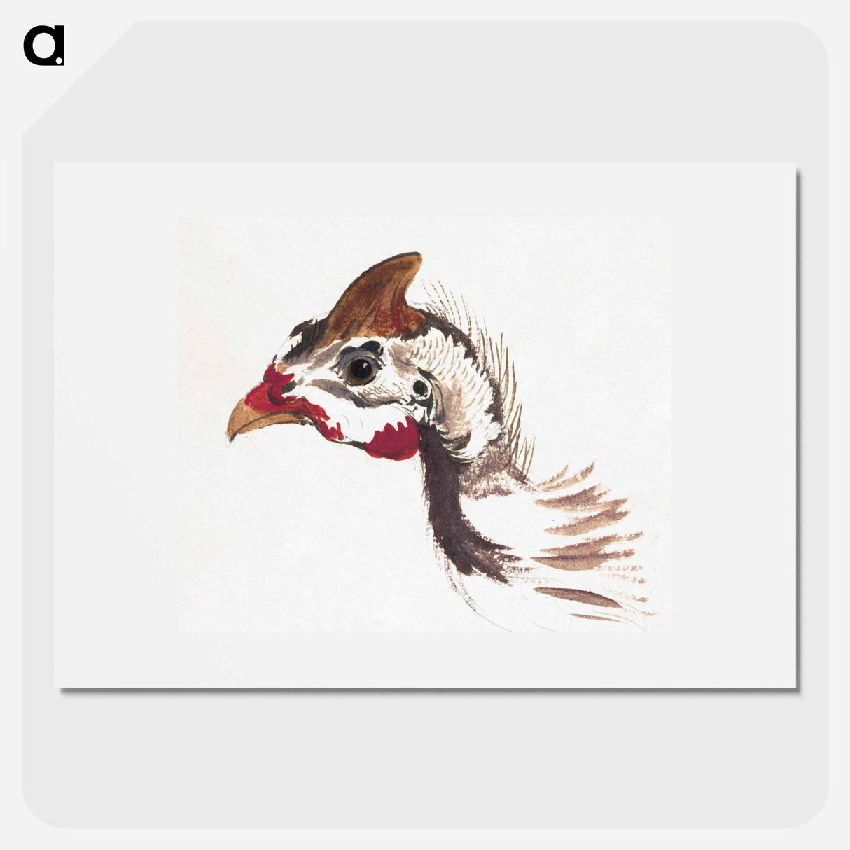 Head of a Helmeted Guineafowl - アールト シューマン Poster.
