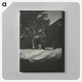 1-42_Alfred-Stieglitz_canvas