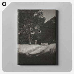 アートパネル-Barn, Lake George - アルフレッド スティーグリッツ Canvas.