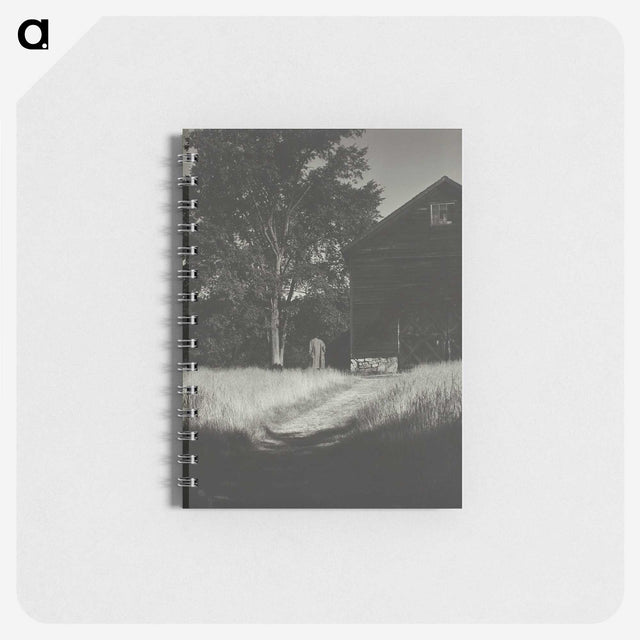 1-42_Alfred-Stieglitz_memo
