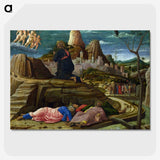 1-42_Andrea-Mantegna_picture-crop