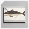 1-42_Anselmus-Boetius-de-Boodt_canvas
