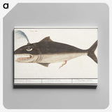 1-42_Anselmus-Boetius-de-Boodt_canvas