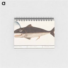アートメモ帳-Whale, Cetus - アンセルムス ボエティウス デ ブート Memo.