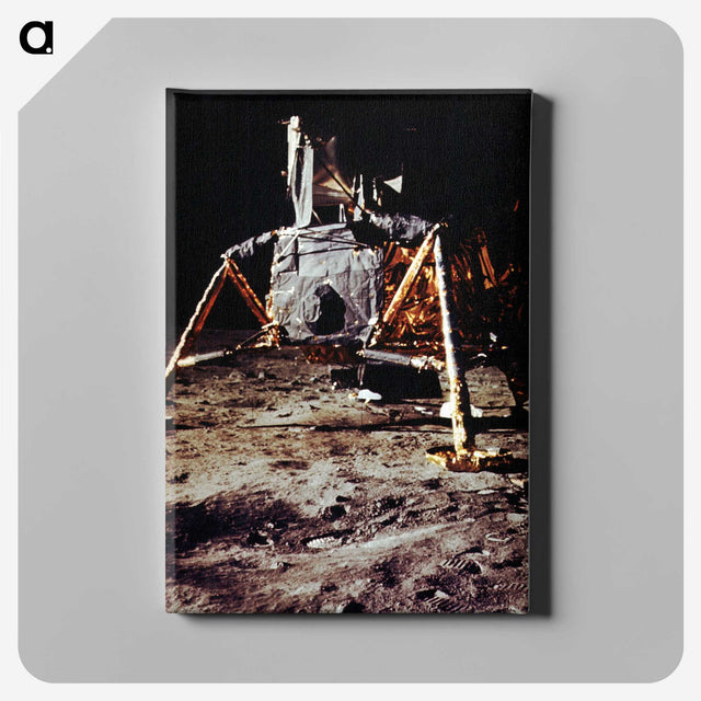 1-42_Apollo-Moon-Landing_canvas