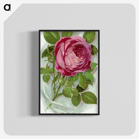 1-42_Botanical-Specimen-Plates_blk-crop