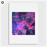 1-42_COVID-19_picture