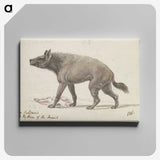 1-42_Charles-Hamilton-Smith_canvas