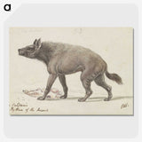 1-42_Charles-Hamilton-Smith_picture-crop