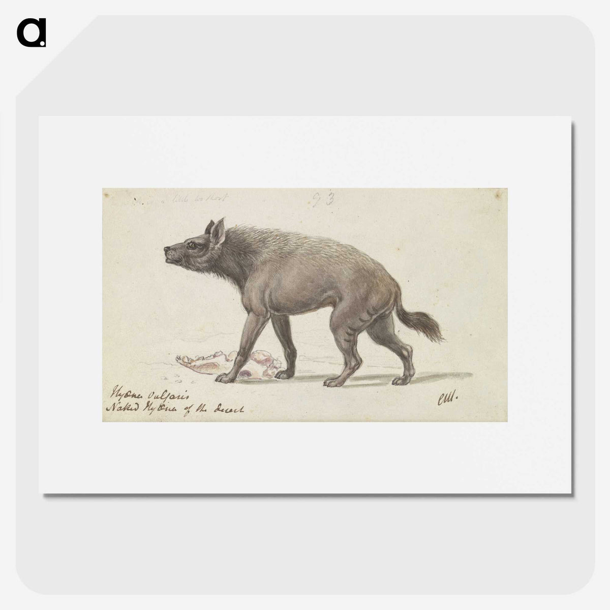 1-42_Charles-Hamilton-Smith_picture