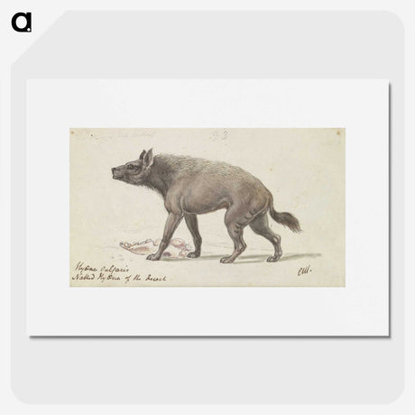 1-42_Charles-Hamilton-Smith_picture