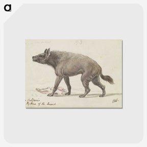 1-42_Charles-Hamilton-Smith_postcard